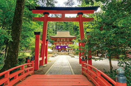 *(梅田・なんば発) 錦秋の高野山で秀吉を偲ぶ3つの世界遺産と松茸御膳 日帰り 「阿弥陀如来像」と秀吉ゆかりの掛け軸の【特別拝観】を実現!!2